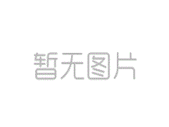 i-大多数“数字”并发展了竞争性的新优势（评论